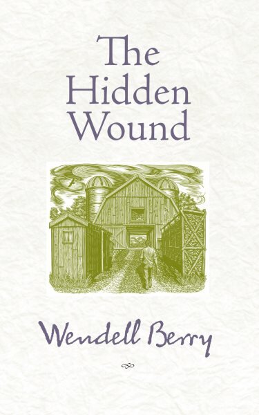 Hidden Wound Second Edition цена и информация | Socialinių mokslų knygos | pigu.lt