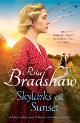 Skylarks At Sunset: An unforgettable saga of love, family and hope kaina ir informacija | Fantastinės, mistinės knygos | pigu.lt