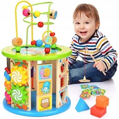 Veiklos kubas montessori RoyaliTo_PL 11W1 цена и информация | Развивающие игрушки | pigu.lt