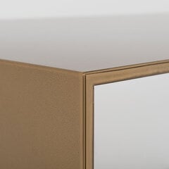Кофейный столик 2Wall Metal 100 x 60, золото цена и информация | Столы-консоли | pigu.lt