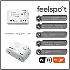 Смарт выключатель - реле Feelspot FS-SRS02W RF, Wi-fi, Tuya цена и информация | Выключатели, розетки | pigu.lt