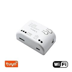 Смарт выключатель - реле Feelspot FS-SRS02W RF, Wi-fi, Tuya цена и информация | Выключатели, розетки | pigu.lt