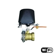 Išmanusis vandens ir dujų vožtuvo valdiklis Feelspot FS-VC01 WiFi kaina ir informacija | Apsaugos sistemos, valdikliai | pigu.lt