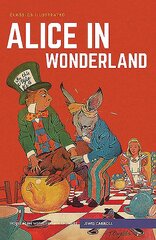 Alice in Wonderland цена и информация | Книги для подростков и молодежи | pigu.lt