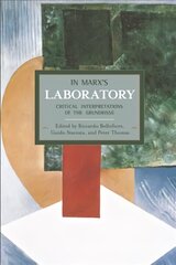 In Marx's Laboratory: Critical Interpretations Of The Grundrisse: Historical Materialism, Volume 48 цена и информация | Книги по социальным наукам | pigu.lt
