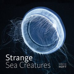 Strange Sea Creatures цена и информация | Книги о питании и здоровом образе жизни | pigu.lt