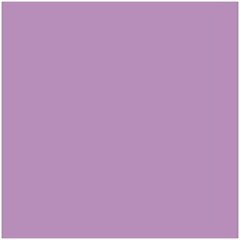 Kartoninis popierius Iris, violetinis, 25 vnt. цена и информация | Тетради и бумажные товары | pigu.lt