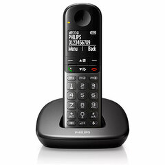 Philips XL4901DS/34 kaina ir informacija | Stacionarūs telefonai | pigu.lt