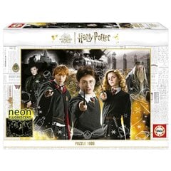 Dėlionė Harry Potter Neonas, 1000 d. цена и информация | Пазлы | pigu.lt