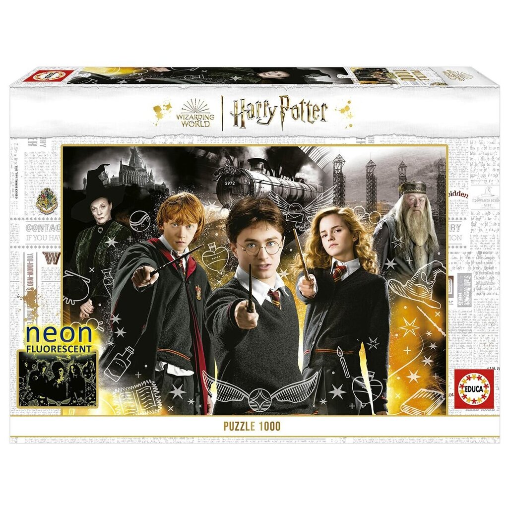 Dėlionė Harry Potter Neonas, 1000 d. kaina ir informacija | Dėlionės (puzzle) | pigu.lt