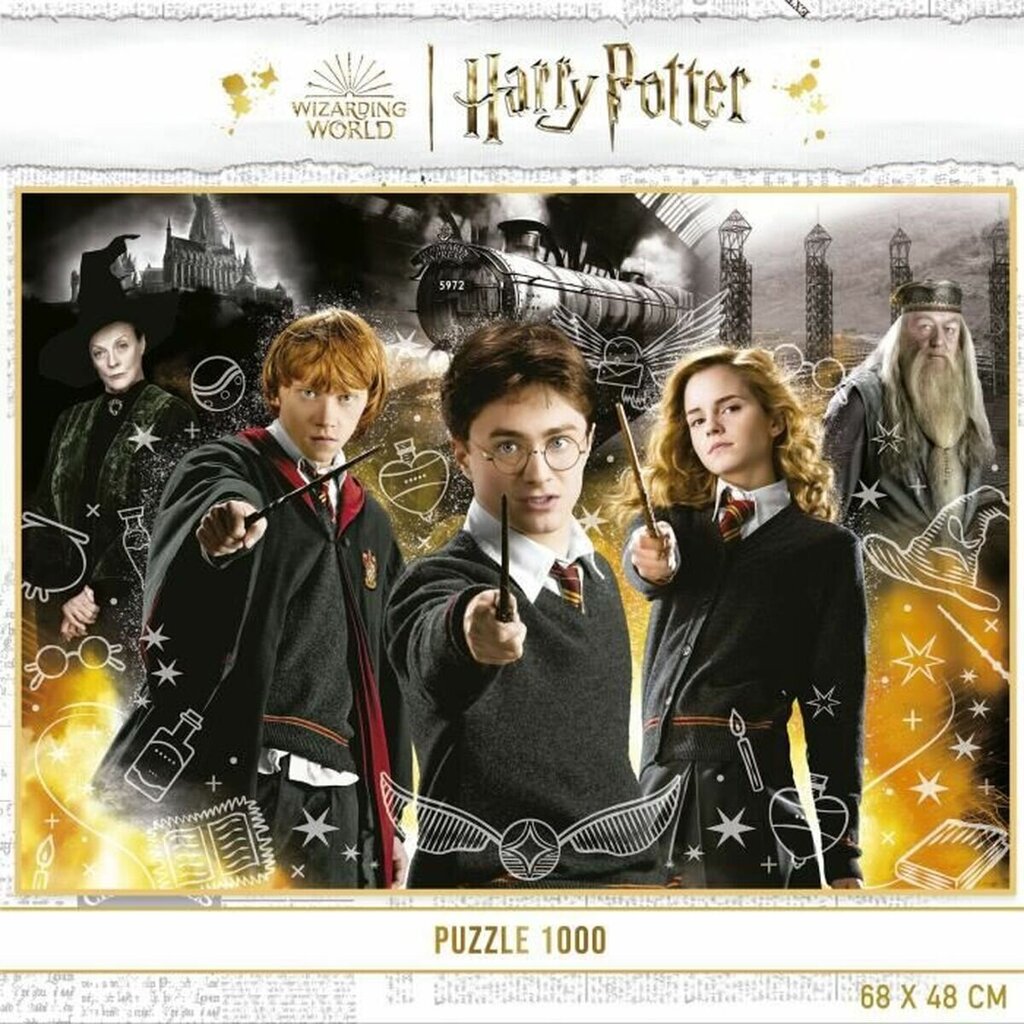 Dėlionė Harry Potter Neonas, 1000 d. kaina ir informacija | Dėlionės (puzzle) | pigu.lt