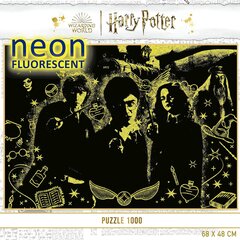 Dėlionė Harry Potter Neonas, 1000 d. цена и информация | Пазлы | pigu.lt