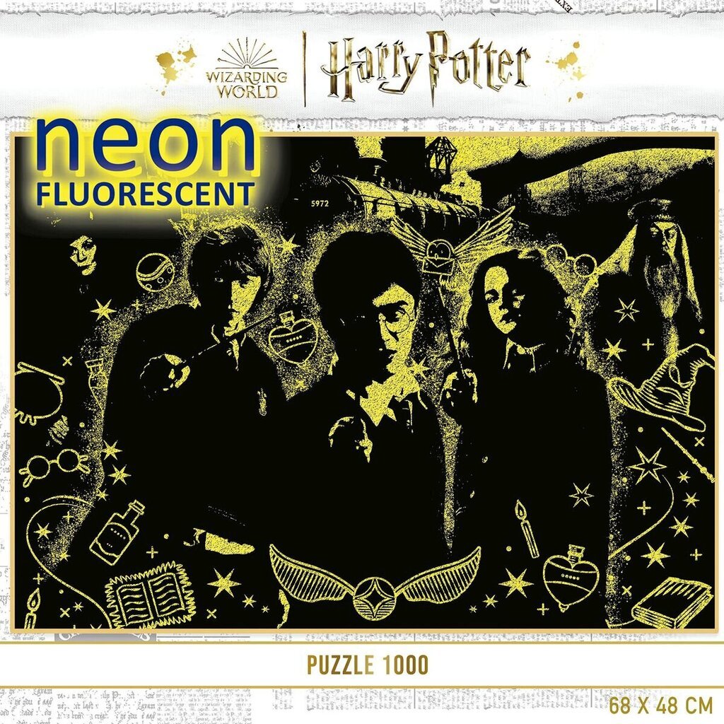 Dėlionė Harry Potter Neonas, 1000 d. kaina ir informacija | Dėlionės (puzzle) | pigu.lt