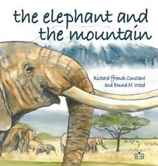 Elephant and the Mountain цена и информация | Книги для самых маленьких | pigu.lt