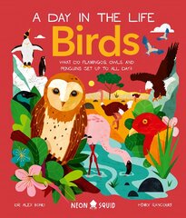 Birds (A Day in the Life): What Do Flamingos, Owls, and Penguins Get Up To All Day? kaina ir informacija | Knygos paaugliams ir jaunimui | pigu.lt
