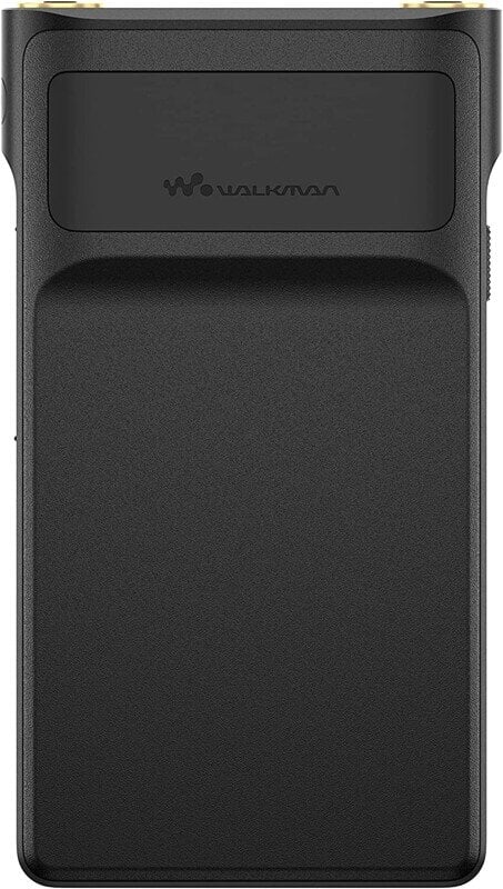 Sony NW-WM1AM2 Walkman цена и информация | MP3 grotuvai | pigu.lt