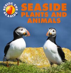 Beside the Seaside: Seaside Plants and Animals Illustrated edition цена и информация | Книги для подростков  | pigu.lt