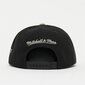 Kepurė vyrams Mitchell & Ness Brooklyn kaina ir informacija | Vyriški šalikai, kepurės, pirštinės | pigu.lt