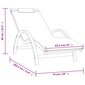 Saulės gultas su pagalve vidaXL, pilkas цена и информация | Gultai | pigu.lt