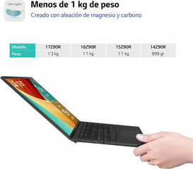 LG 15Z90R цена и информация | Ноутбуки | pigu.lt