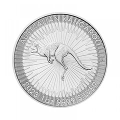 Tūba sidabrinėms monetoms, skaidri цена и информация | Нумизматика | pigu.lt