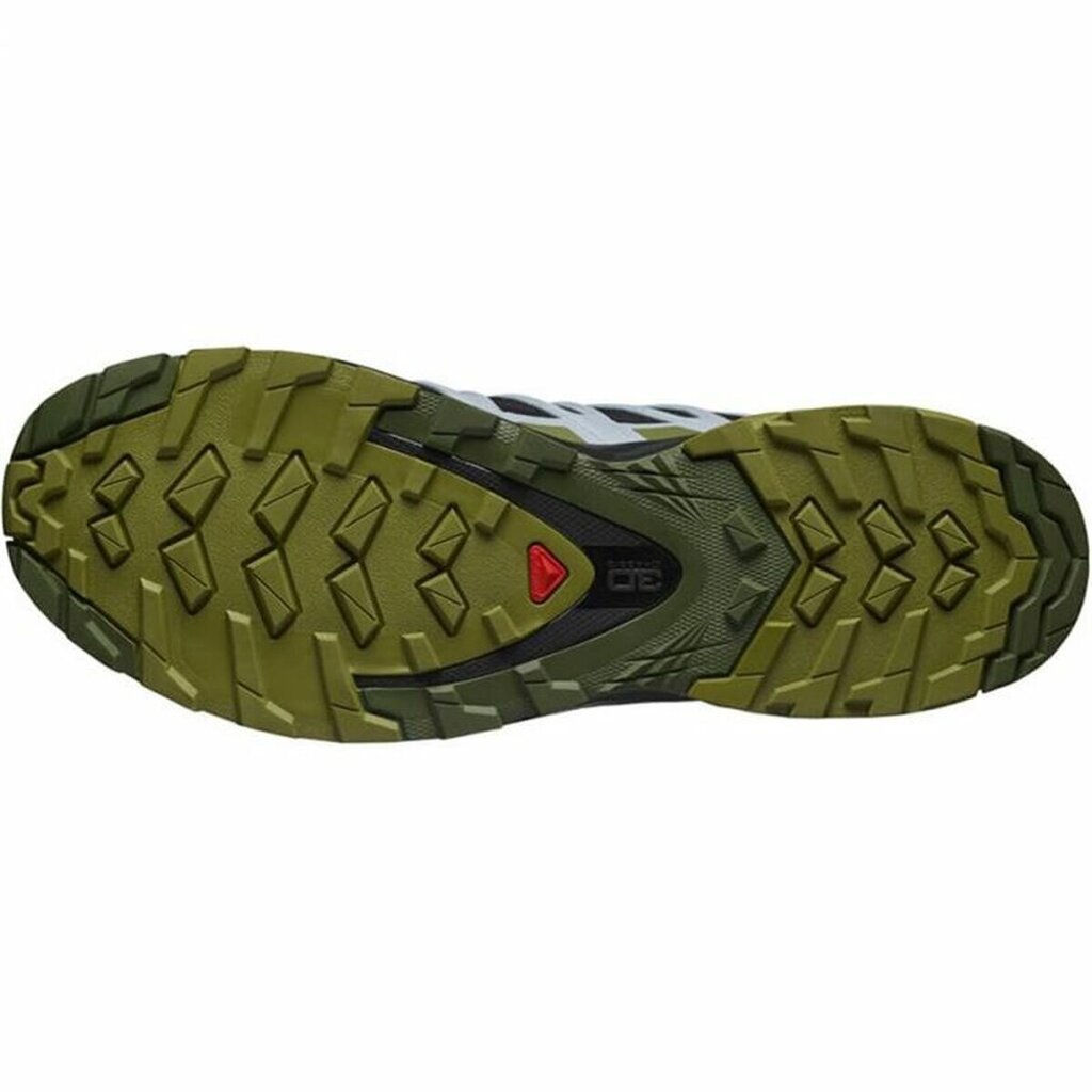 Sportiniai batai moterims XA Pro 3D V8 Gore-Tex Salomon, juodi цена и информация | Sportiniai bateliai, kedai moterims | pigu.lt