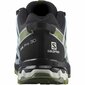 Sportiniai batai moterims XA Pro 3D V8 Gore-Tex Salomon, juodi цена и информация | Sportiniai bateliai, kedai moterims | pigu.lt