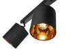 Ledlux pakabinamas šviestuvas LX-1279 kaina ir informacija | Pakabinami šviestuvai | pigu.lt