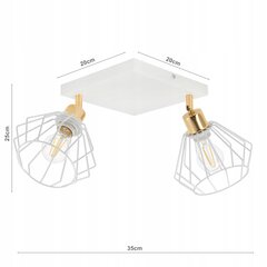 Подвесной светильник Ledlux LX-1369 цена и информация | Люстры | pigu.lt