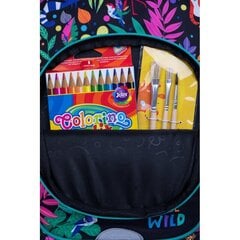 Школьный рюкзак Colorino Toby цена и информация | Школьные рюкзаки, спортивные сумки | pigu.lt