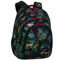 Рюкзак школьный CoolPack Drafter Malindi, 27 л, разные цвета цена и информация | Школьные рюкзаки, спортивные сумки | pigu.lt