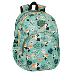 Школьный рюкзак Coolpack Toucans, зеленый цена и информация | Школьные рюкзаки, спортивные сумки | pigu.lt