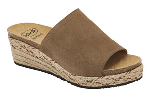 Привет обувь Малага серо-коричневый цена и информация | Комнатные тапки женские | pigu.lt