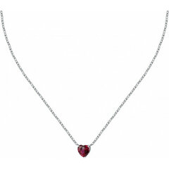 La Petite Story Ожерелье из романтической стали Love Crystal LPS10ASD15 цена и информация | Украшения на шею | pigu.lt