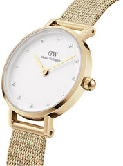 Daniel Wellington Petite Lumine Pressed Мелроуз DW00100604 цена и информация | Женские часы | pigu.lt