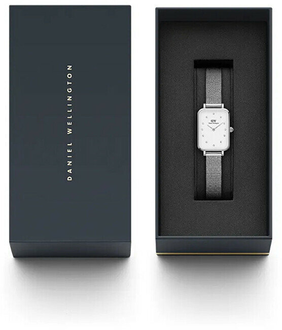 Laikrodis moterims Daniel Wellington DW00100597 цена и информация | Moteriški laikrodžiai | pigu.lt
