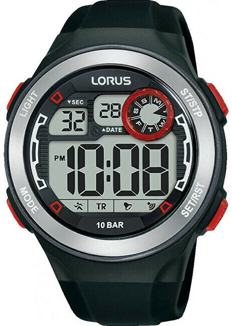 Laikrodis vyrams Lorus R2381NX9 цена и информация | Vyriški laikrodžiai | pigu.lt