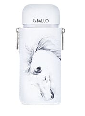 Armaf Caballo Pour Homme - EDP цена и информация | Мужские духи | pigu.lt