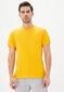 Marškinėliai vyrams Roza Textile-Contact, geltoni kaina ir informacija | Vyriški marškinėliai | pigu.lt