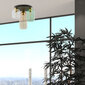 Micadoni Home lubinis šviestuvas Lumos kaina ir informacija | Lubiniai šviestuvai | pigu.lt
