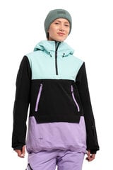 Женская горнолыжная куртка Icepeak CALIO, разноцветная цена и информация | Лыжная одежда и аксессуары | pigu.lt