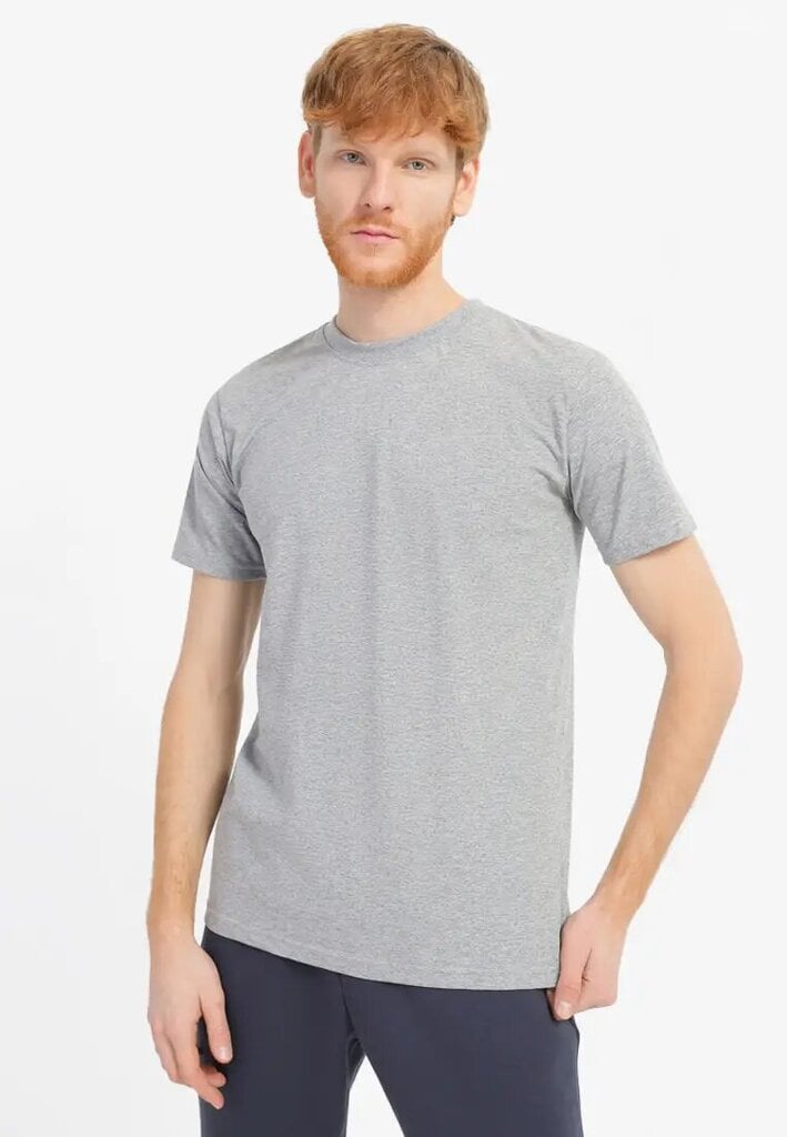 Marškinėliai vyrams Roza Textile-Contact, pilki kaina ir informacija | Vyriški marškinėliai | pigu.lt