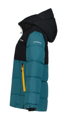 Детская зимняя куртка Icepeak LOUIN JR, цвета морской волны-черная цена и информация | Зимняя одежда для детей | pigu.lt