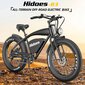 Elektrinis dviratis Hidoes B3, 26", juodas, 1200W, 17,5Ah цена и информация | Elektriniai dviračiai | pigu.lt