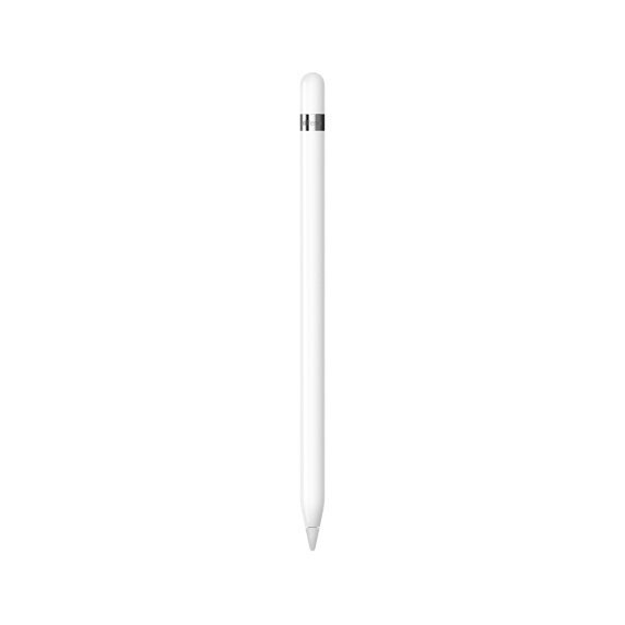 Apple Pencil MK0C2ZM/A цена и информация | Planšečių, el. skaityklių priedai | pigu.lt