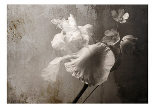Fototapetai Vintažinės gėlės kaina ir informacija | Fototapetai | pigu.lt