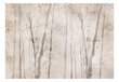 Fototapetai Smėlio spalvos atspindžių miškas kaina ir informacija | Fototapetai | pigu.lt