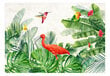 Fototapetai Egzotiniai paukščiai kaina ir informacija | Fototapetai | pigu.lt