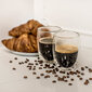 Dvigubo stiklo puodeliai Cappuccino, 2 vnt. kaina ir informacija | Taurės, puodeliai, ąsočiai | pigu.lt