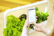 Smart Garden Click & Grow 9 Pro kaina ir informacija | Daigyklos, lempos augalams | pigu.lt